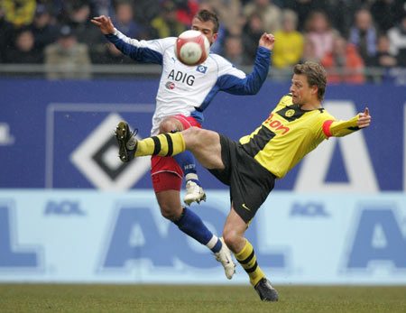 仅显示出了 仅显示出了